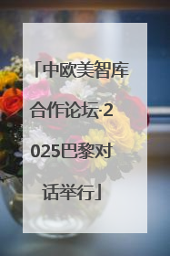 中欧美智库合作论坛·2025巴黎对话举行