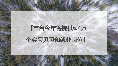 丰台今年将提供6.4万个实习见习和就业岗位