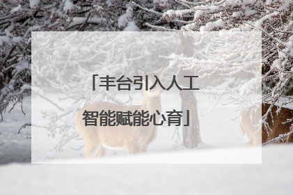 丰台引入人工智能赋能心育