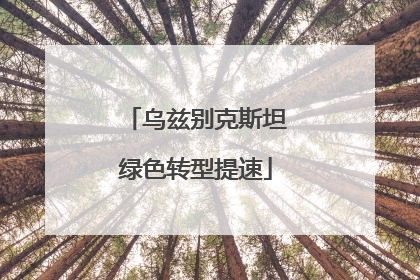 乌兹别克斯坦绿色转型提速