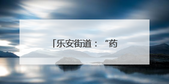 乐安街道：“药材花海”绽希望 产业振兴鼓钱袋