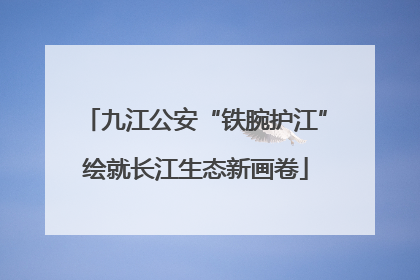 九江公安“铁腕护江”绘就长江生态新画卷