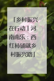 乡村振兴在行动丨河南南乐：西红柿铺就乡村振兴路