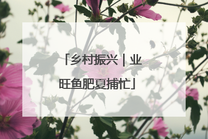乡村振兴｜业旺鱼肥夏捕忙