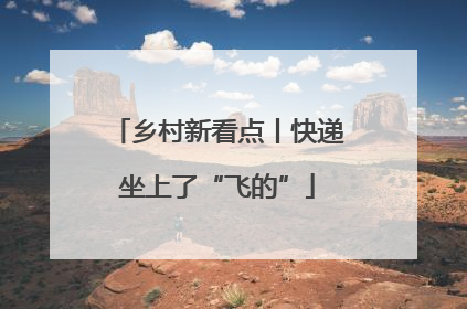 乡村新看点丨快递坐上了“飞的”