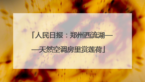 人民日报：郑州西流湖——天然空调房里赏莲荷
