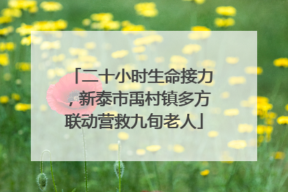 二十小时生命接力，新泰市禹村镇多方联动营救九旬老人