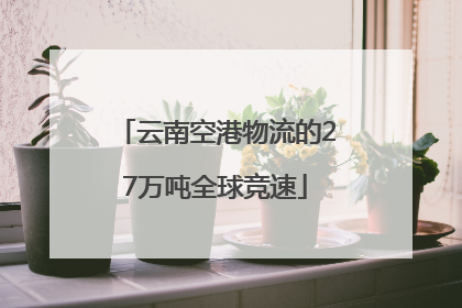 云南空港物流的27万吨全球竞速