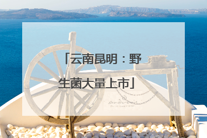 云南昆明：野生菌大量上市