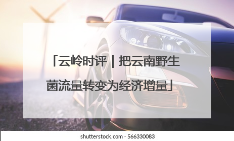 云岭时评｜把云南野生菌流量转变为经济增量