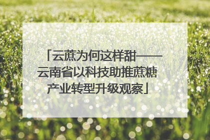 云蔗为何这样甜——云南省以科技助推蔗糖产业转型升级观察