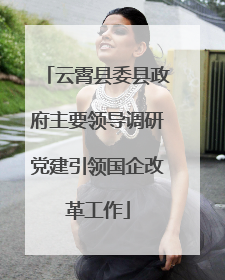 云霄县委县政府主要领导调研党建引领国企改革工作