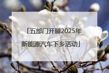 五部门开展2025年新能源汽车下乡活动