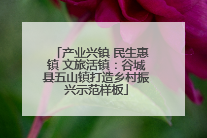 产业兴镇 民生惠镇 文旅活镇：谷城县五山镇打造乡村振兴示范样板