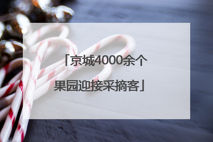 京城4000余个果园迎接采摘客