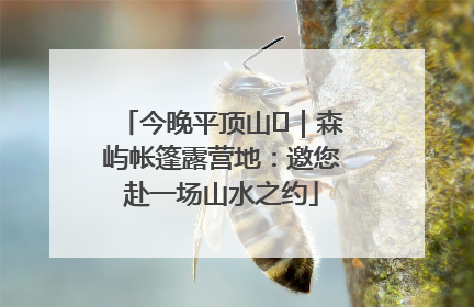 今晚平顶山⑫｜森屿帐篷露营地：邀您赴一场山水之约