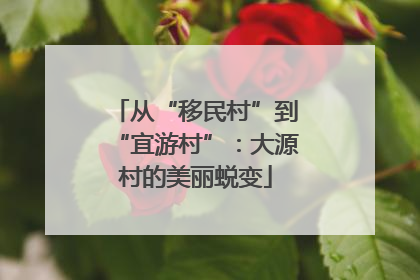 从“移民村”到“宜游村”：大源村的美丽蜕变