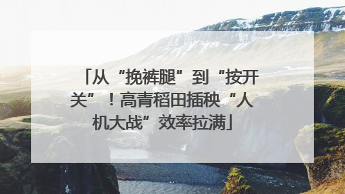 从“挽裤腿”到“按开关”！高青稻田插秧“人机大战”效率拉满