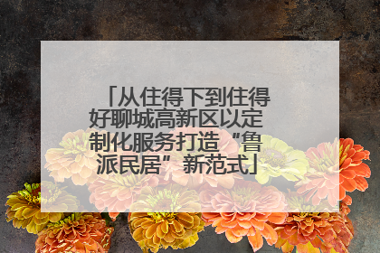 从住得下到住得好聊城高新区以定制化服务打造“鲁派民居”新范式