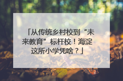 从传统乡村校到“未来教育”标杆校！海淀这所小学凭啥？