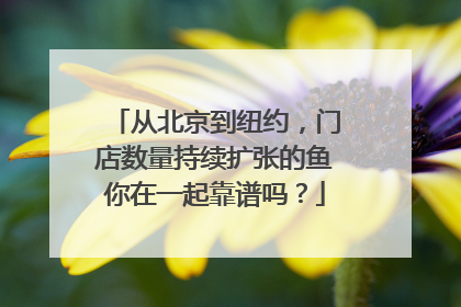 从北京到纽约，门店数量持续扩张的鱼你在一起靠谱吗？