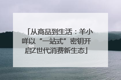 从商品到生活：羊小咩以“一站式”密钥开启Z世代消费新生态