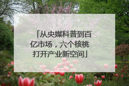 从央媒科普到百亿市场，六个核桃打开产业新空间