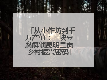 从小作坊到千万产值：一块豆腐解锁昆明呈贡乡村振兴密码