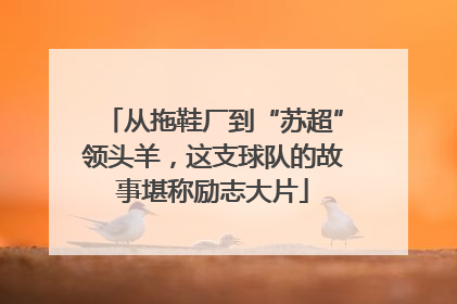 从拖鞋厂到“苏超”领头羊，这支球队的故事堪称励志大片