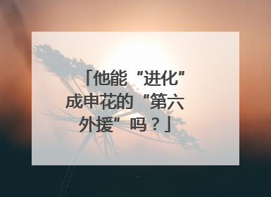 他能“进化”成申花的“第六外援”吗？