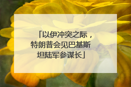 以伊冲突之际，特朗普会见巴基斯坦陆军参谋长