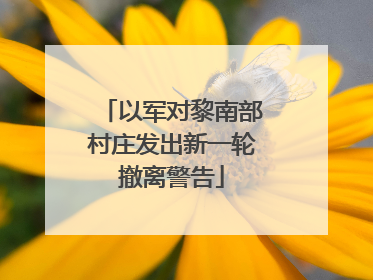 以军对黎南部村庄发出新一轮撤离警告