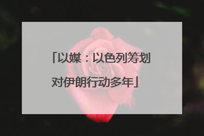 以媒：以色列筹划对伊朗行动多年