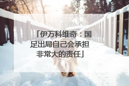 伊万科维奇：国足出局自己会承担非常大的责任