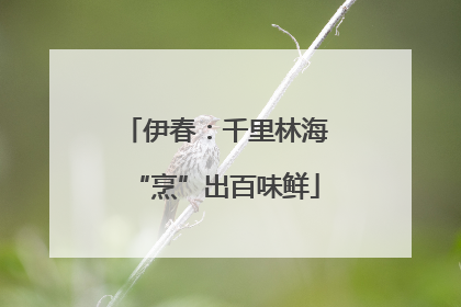 伊春：千里林海“烹”出百味鲜