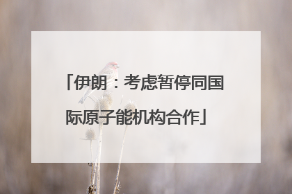 伊朗：考虑暂停同国际原子能机构合作