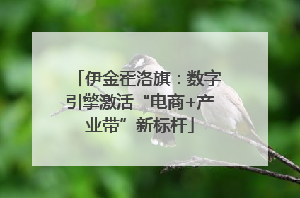 伊金霍洛旗：数字引擎激活“电商+产业带”新标杆