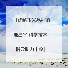 优新玉米品种落地昌平 科学技术指导助力丰收