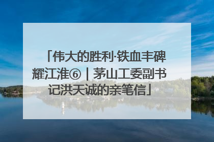 伟大的胜利·铁血丰碑耀江淮⑥｜茅山工委副书记洪天诚的亲笔信