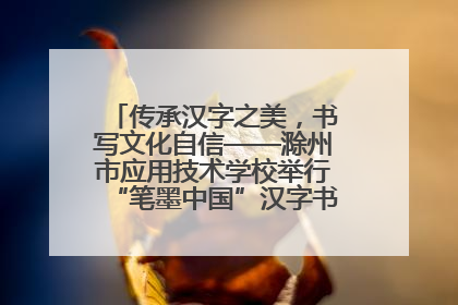 传承汉字之美，书写文化自信——滁州市应用技术学校举行“笔墨中国”汉字书写比赛表彰大会