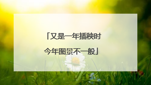 又是一年插秧时 今年图景不一般
