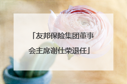 友邦保险集团董事会主席谢仕荣退任