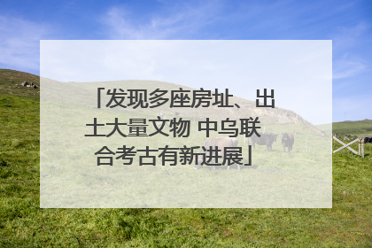 发现多座房址、出土大量文物 中乌联合考古有新进展