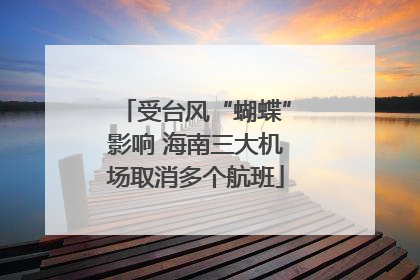 受台风“蝴蝶”影响 海南三大机场取消多个航班