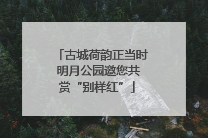 古城荷韵正当时 明月公园邀您共赏“别样红”
