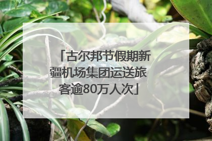 古尔邦节假期新疆机场集团运送旅客逾80万人次