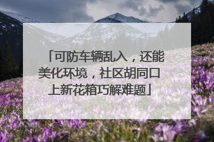 可防车辆乱入，还能美化环境，社区胡同口上新花箱巧解难题