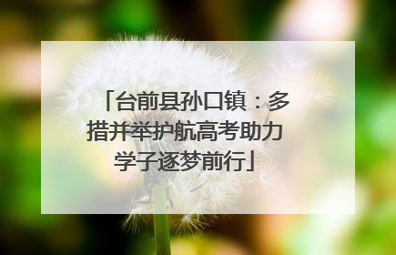 台前县孙口镇：多措并举护航高考助力学子逐梦前行