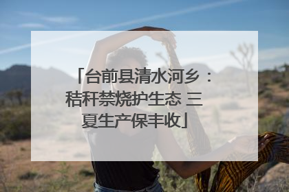 台前县清水河乡：秸秆禁烧护生态 三夏生产保丰收