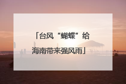 台风“蝴蝶”给海南带来强风雨